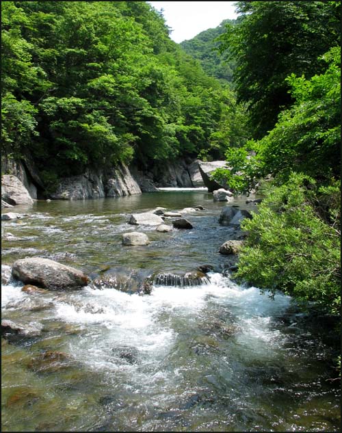 지리산 뱀사골 